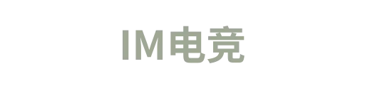 IM电竞